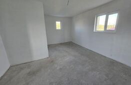 Ocazie! Casa 4 camere, 200mp, hala 500mp, teren 10000mp, in Freidorf