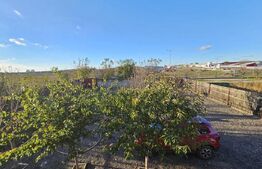 Ocazie! Casa 4 camere, 200mp, hala 500mp, teren 10000mp, in Freidorf