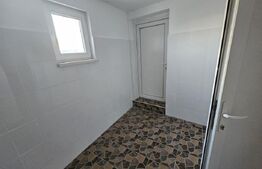 Ocazie! Casa 4 camere, 200mp, hala 500mp, teren 10000mp, in Freidorf