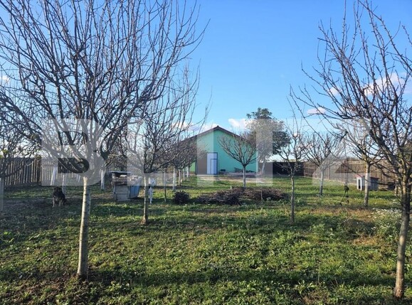 Casa de vânzare 4 camere Freidorf - 140722CV | BLITZ Timișoara | Poza17