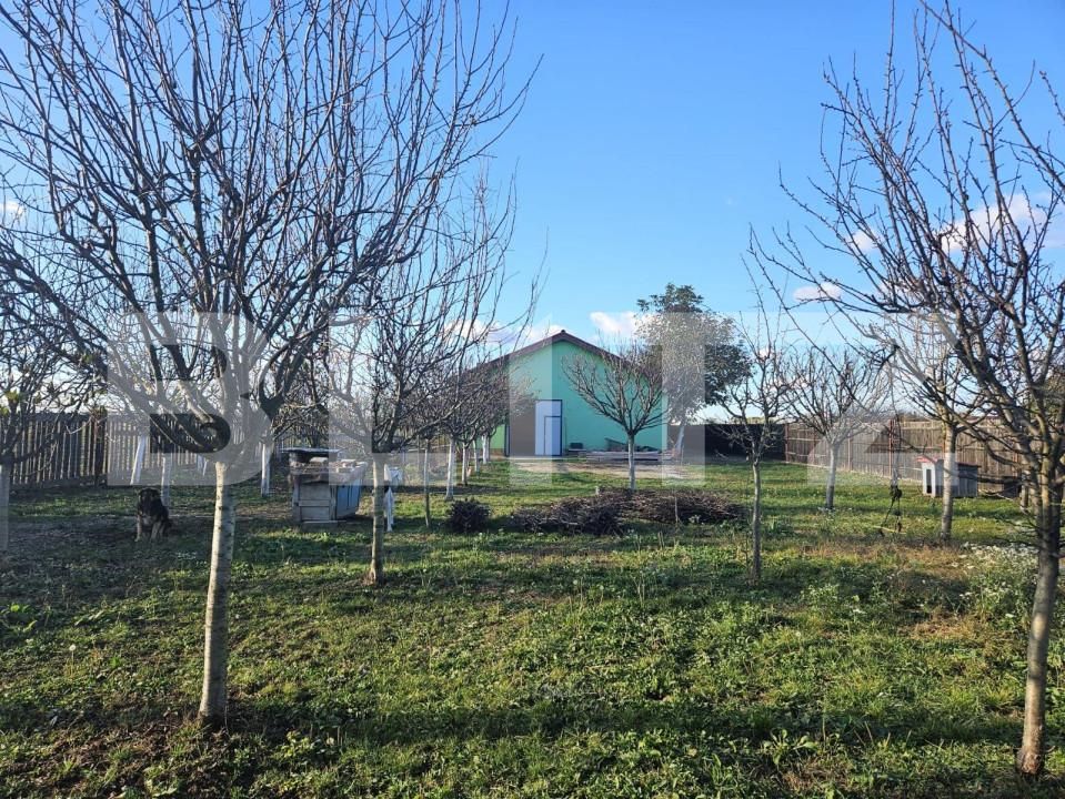 Casa de vânzare 4 camere Freidorf - 140722CV | BLITZ Timișoara | Poza17