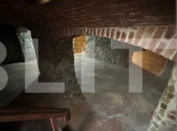 Spațiu comercial de vânzare Central - 140729SVC | BLITZ Timișoara | Poza3