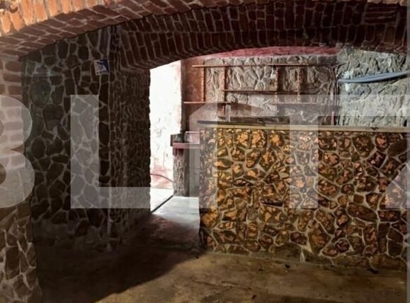 Spațiu comercial de vânzare Central - 140729SVC | BLITZ Timișoara | Poza1