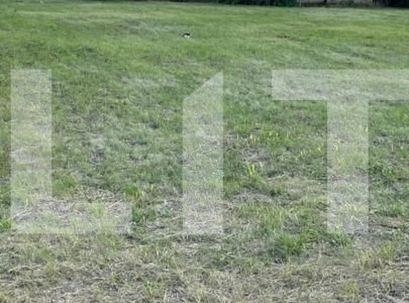 Teren de vânzare Buziasului - 144264TV | BLITZ Timișoara | Poza1