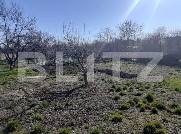 Teren de vânzare Ronat - 144498TV | BLITZ Timișoara | Poza2