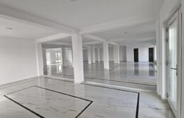 Spatiu comercial nou, 307 mp, 7 locuri parcare, Dumbravita
