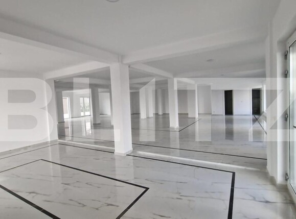 Spațiu comercial de închiriat Dumbravita - 144556SIC | BLITZ Timișoara | Poza3