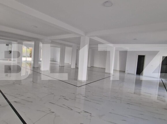 Spațiu comercial de închiriat Dumbravita - 144556SIC | BLITZ Timișoara | Poza1