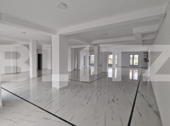 Spațiu comercial de închiriat Dumbravita - 144556SIC | BLITZ Timișoara | Poza3