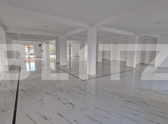 Spațiu comercial de închiriat Dumbravita - 144556SIC | BLITZ Timișoara | Poza4