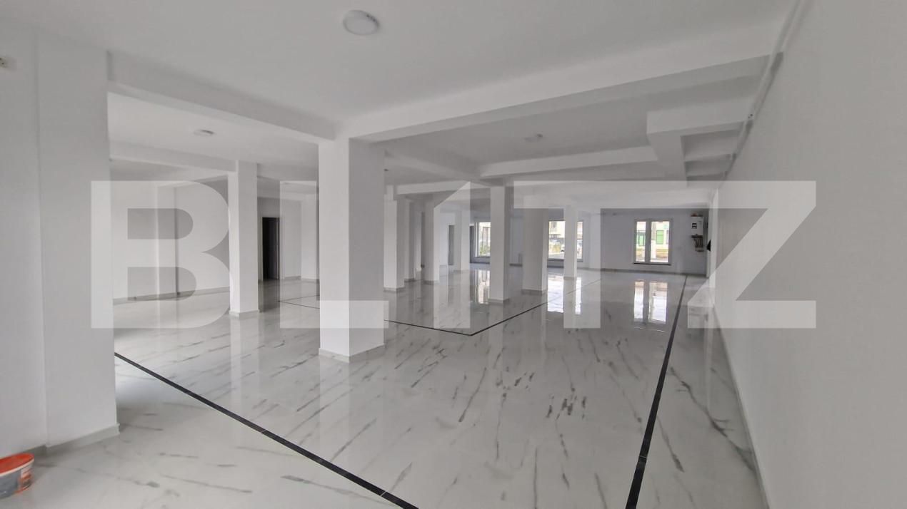 Spațiu comercial de închiriat Dumbravita - 144556SIC | BLITZ Timișoara | Poza2