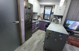 Apartament de 2 camere, terasa 16mp, pod 57mp, parcare, Dumbravita