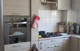 Casa individuala, la cheie, 200 mp utili, 728 mp teren, Ghiroda