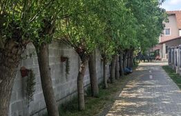 Casa individuala 5 camere, 161 mp utili, 725 mp teren, Dumbravita