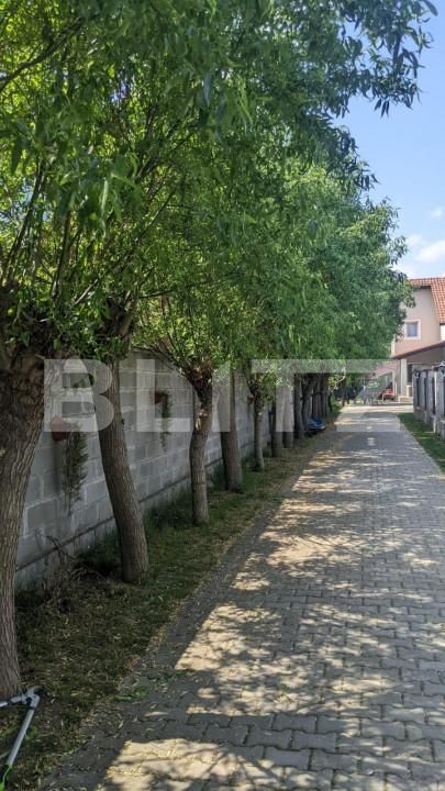 Casa de vânzare 5 camere Dumbravita - 144674CV | BLITZ Timișoara | Poza3