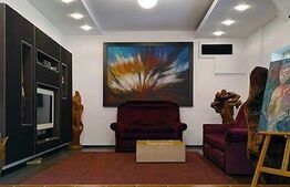 Vila spatioasa, 220 mp utili, 500 mp teren, Dumbravita