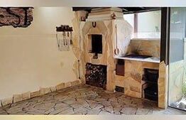 Vila spatioasa, 220 mp utili, 500 mp teren, Dumbravita