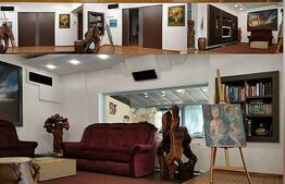 Vila spatioasa, 220 mp utili, 500 mp teren, Dumbravita