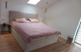 Vila cu etaj, moderna, 193 mp, mobilata, utilată, Mosnita Noua