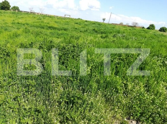 Teren de vânzare Sânandrei - 144703TV | BLITZ Timișoara | Poza1