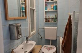 Apartament de 3 camere, 110mp utili in zona Iosefin