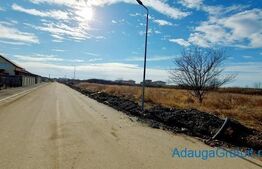 Teren arabil extravilan, 84200 mp, situat in Recas