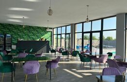 Ocazie, afacere evenimente cu restaurant, piscina, teren 1000 mp, 200mp, Salacaz