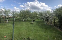 Casa 3 camere, 120 mp, Topolovatu Mare