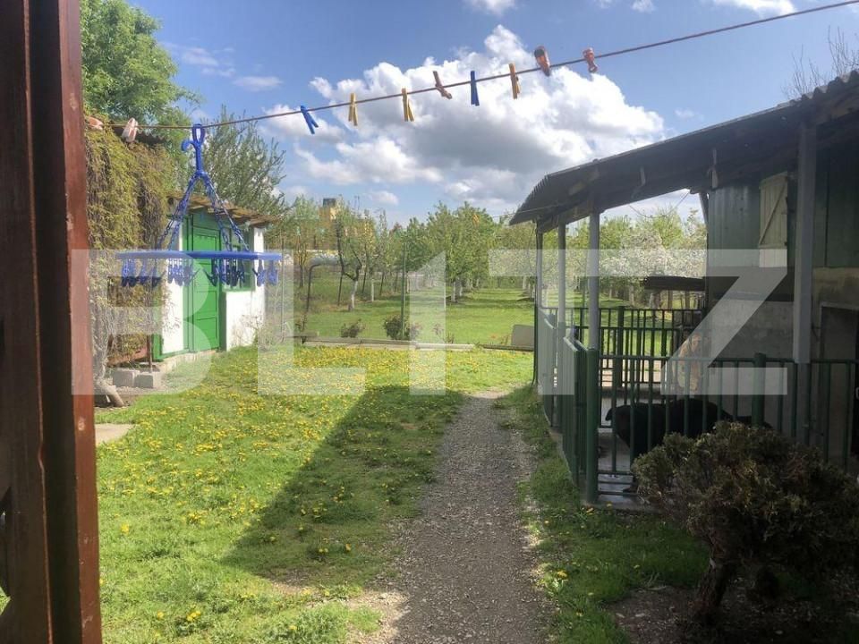 Casa de vânzare 3 camere Exterior Vest - 144802CV | BLITZ Timișoara | Poza2