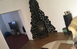 Casa cu 4 camere, 110 mp utili, teren cu 1000 mp, Fratelia