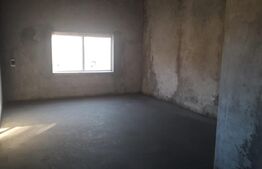 Casa 4 camere, 560 mp, Vinga