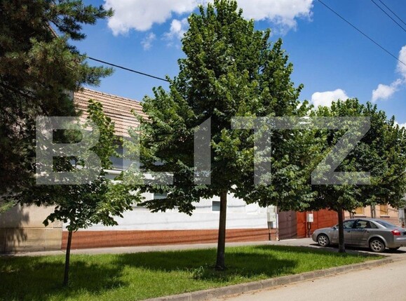 Casa de vânzare 3 camere Ronat - 144807CV | BLITZ Timișoara | Poza11