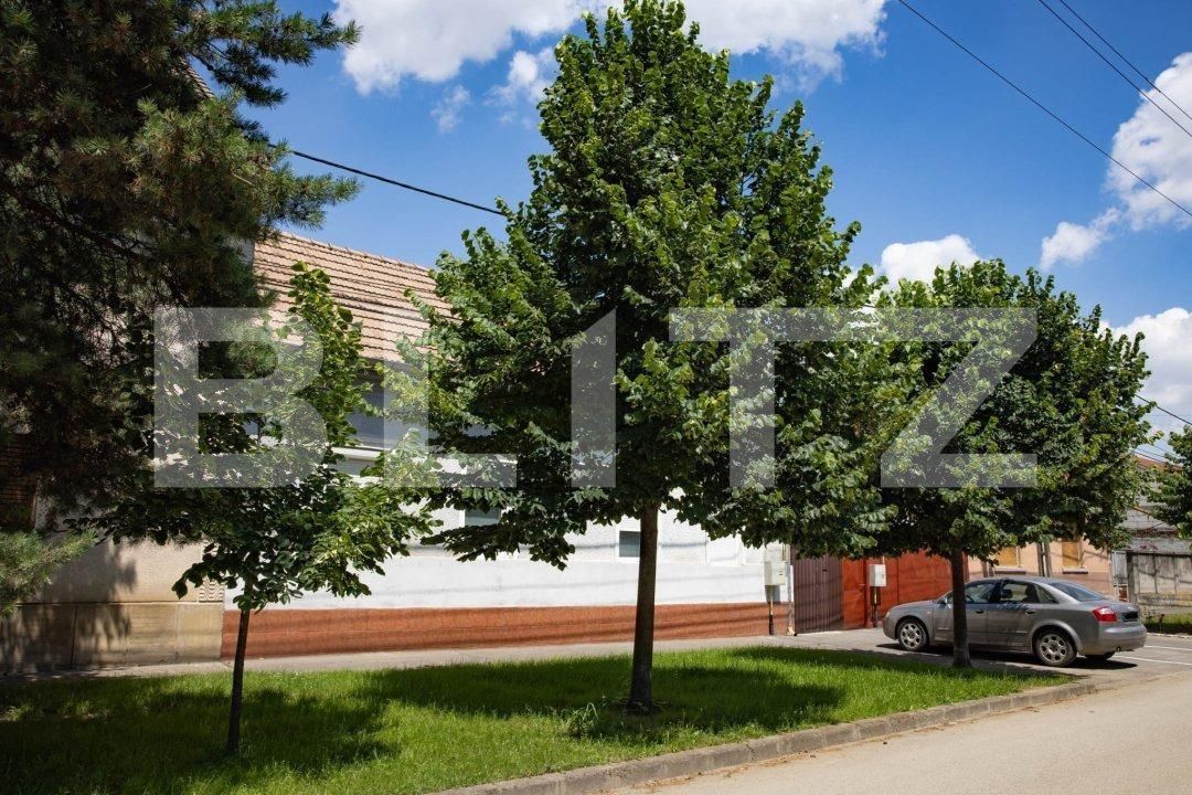 Casa de vânzare 3 camere Ronat - 144807CV | BLITZ Timișoara | Poza11