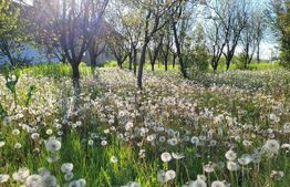 Casa, 150 mp, Hisias