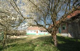 Casa, 150 mp, Hisias