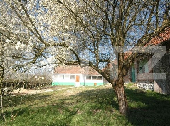 Casa de vânzare 5 camere Hisias - 144904CV | BLITZ Timișoara | Poza1