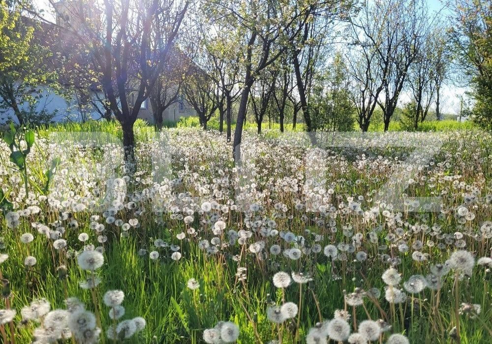 Casa de vânzare 5 camere Hisias - 144904CV | BLITZ Timișoara | Poza2