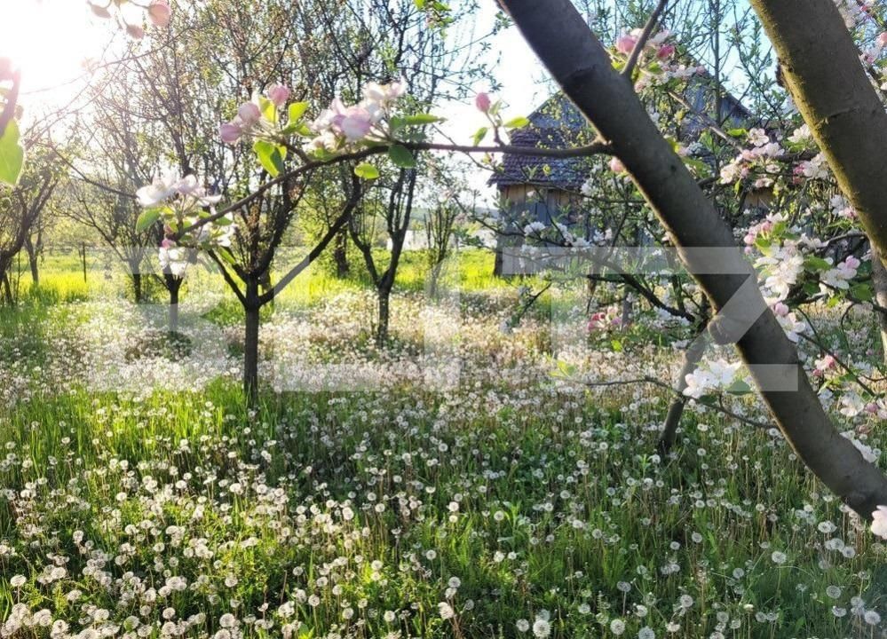 Casa de vânzare 5 camere Hisias - 144904CV | BLITZ Timișoara | Poza3