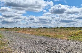 Parcela teren intravilan, 561 mp in Remetea Mare/Timisoara