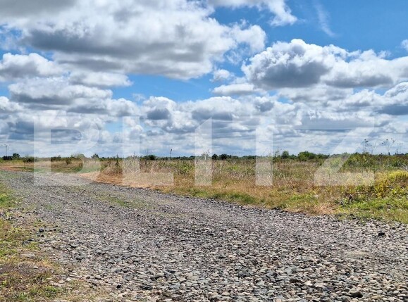 Teren de vânzare Remetea Mare - 145296TV | BLITZ Timișoara | Poza2