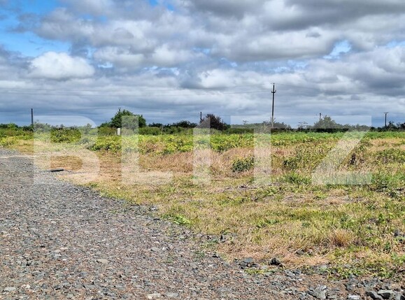 Teren de vânzare Remetea Mare - 145296TV | BLITZ Timișoara | Poza1