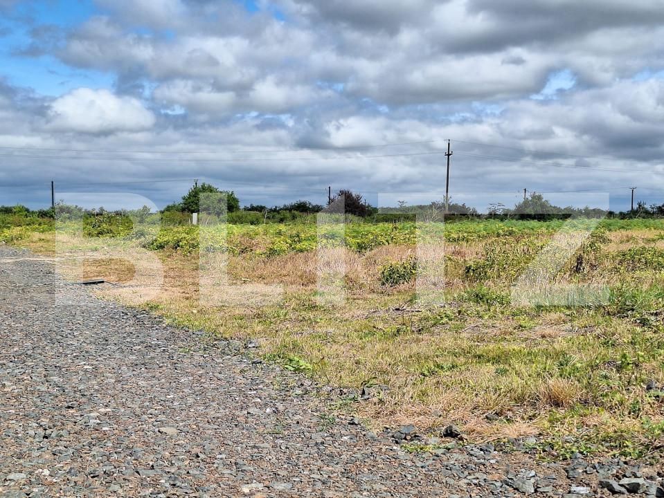 Teren de vânzare Remetea Mare - 145296TV | BLITZ Timișoara | Poza1