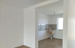 Casa semiindividuala, 3 camere, 100mp utili, 418mp teren, Sag