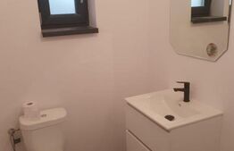 Duplex pe parter, 198mp utili, 640mp teren in Sag