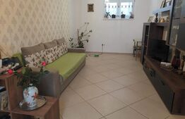 Casa individuala, 5 camere, 204mp, Sanandrei