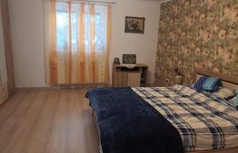 Casa individuala, 5 camere, 204mp, Sanandrei