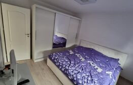 Duplex pe parter, 77 mp utili, teren 350 mp, Sanandrei! 