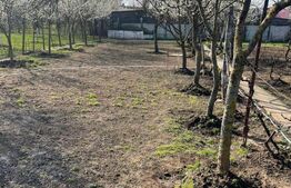 Teren de vanzare 1850 mp front de 21, Sanandrei!