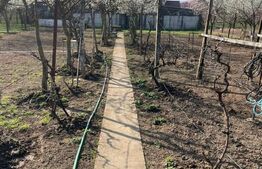 Teren de vanzare 1850 mp front de 21, Sanandrei!