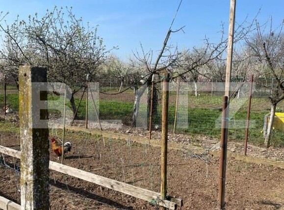 Teren de vânzare Sânandrei - 146019TV | BLITZ Timișoara | Poza4